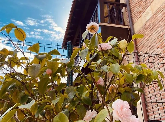 El Tejo De 3* Comillas