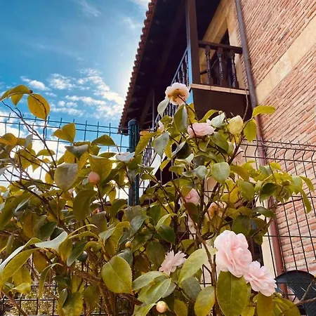 El Tejo De 3* Comillas